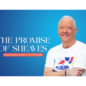 FLOURISH: THE PROMISE OF SHEAVES