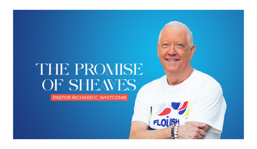 FLOURISH: THE PROMISE OF SHEAVES