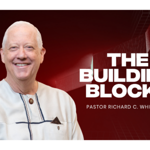 THE BUILDING BLOCKS