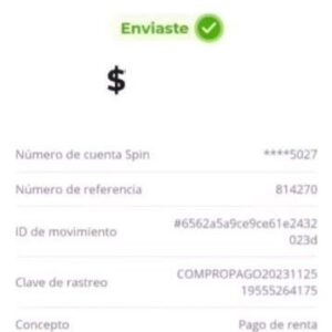 What You’ll Find in This Review
